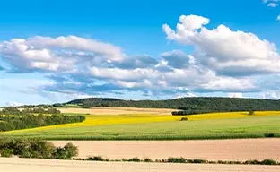 Bourgogne - Franche-Comté