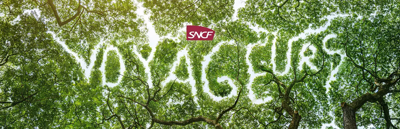 Voyageurs apparaît à travers les feuilles des arbres