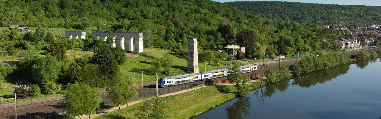 TER dans un paysage