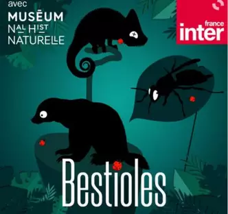 Podcast Bestioles
